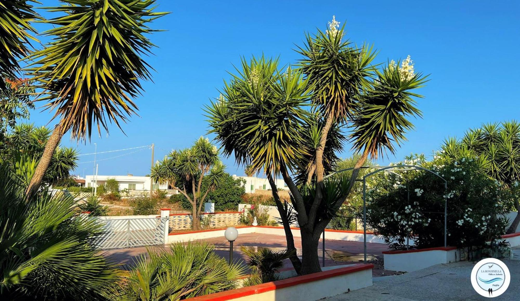 Villa La Rondinella - Torre San Giovanni Exterior foto